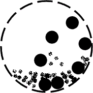 ĥC(j)ĥʾ